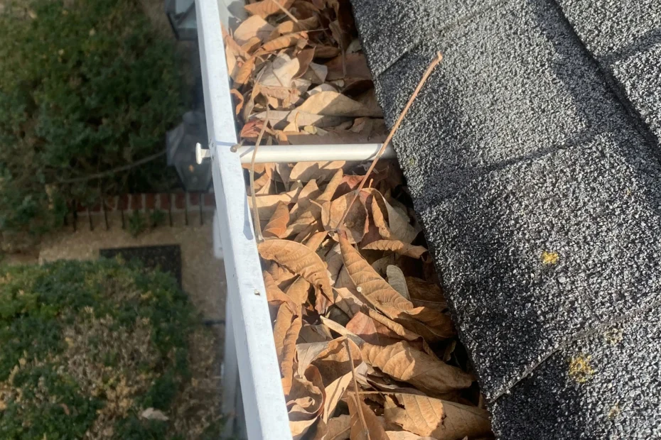 Kingston Gutter Cleaning